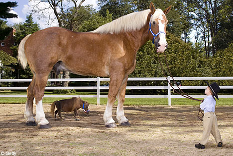 Radar and Thumbelina Meet